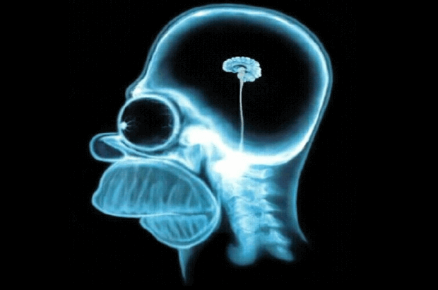 productividad diaria