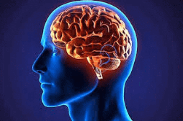 organización diaria